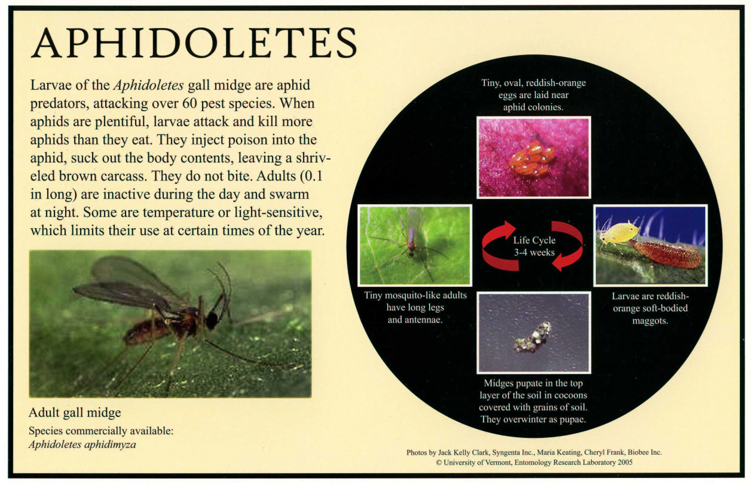 UVM IPM Greenhouse Pests, Biological Controls & Plant